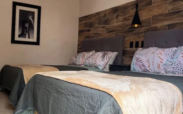 Black Tree Hotel Boutique