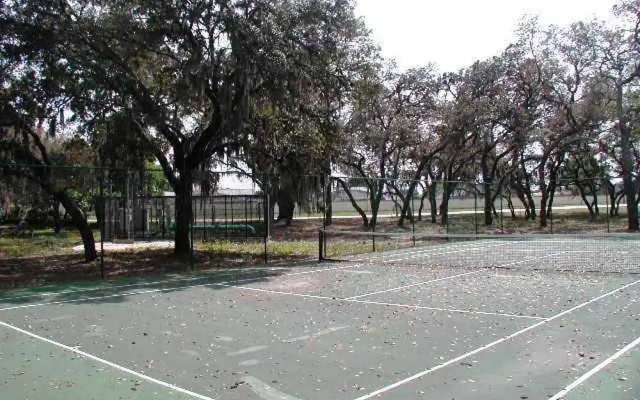 Sunny Oaks