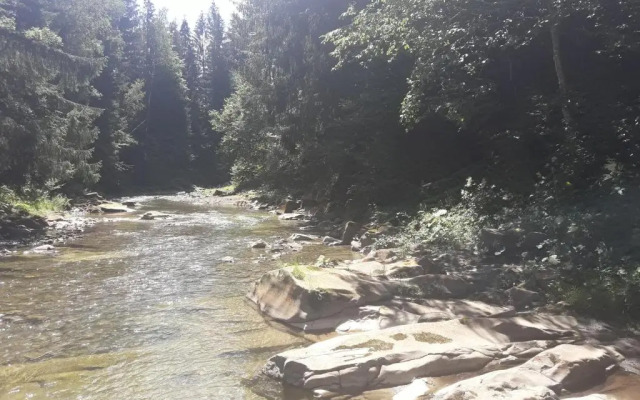 U Anastasii i Sofii bilya richki