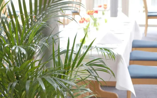 Hotel Alber
