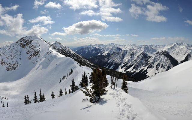 Aspens at Kicking Horse Mountain Resort
