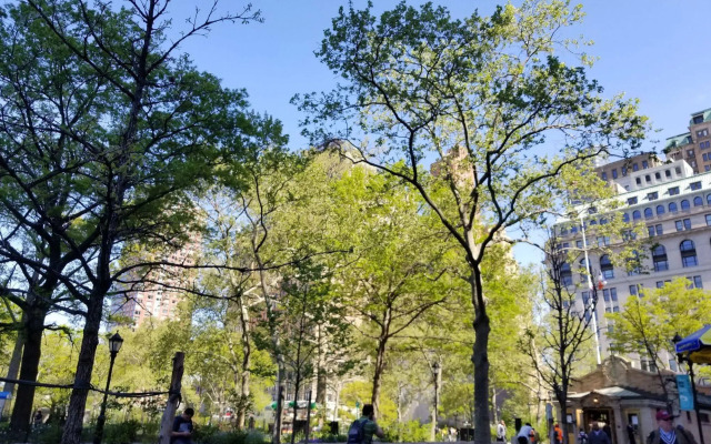 Hilton Garden Inn NYC Financial Center/Manhattan Downtown