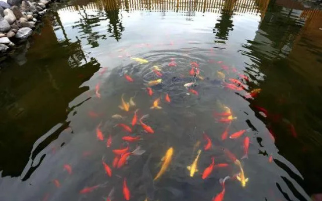 Jianhe Hot Spring Hotel Yang'asha Square