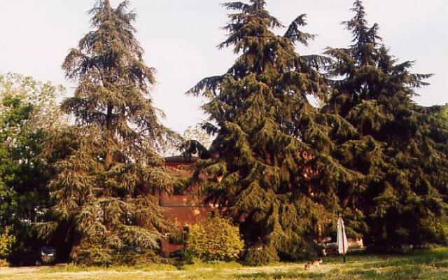 Bed & Breakfast Camomilla
