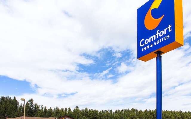 Comfort Inn And Suites Custer