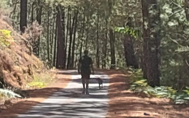 Puente Canto de Gredos