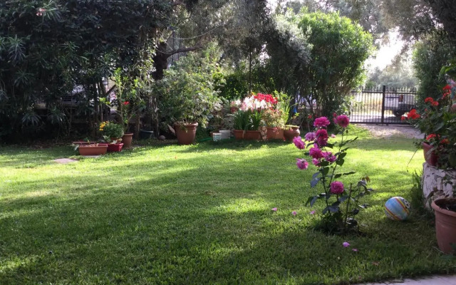 ntinas house