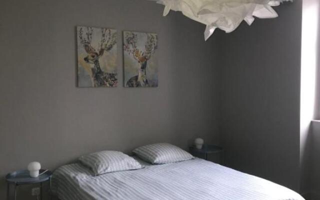 Grand appartement 3 chambres Poitiers coeur de ville