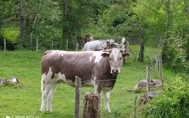Chambres d'hôtes La Chaussée d'Olivet