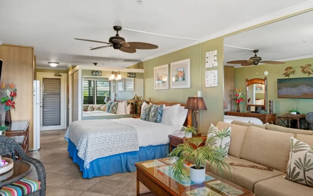 Napili Bay 210 in Lahaina