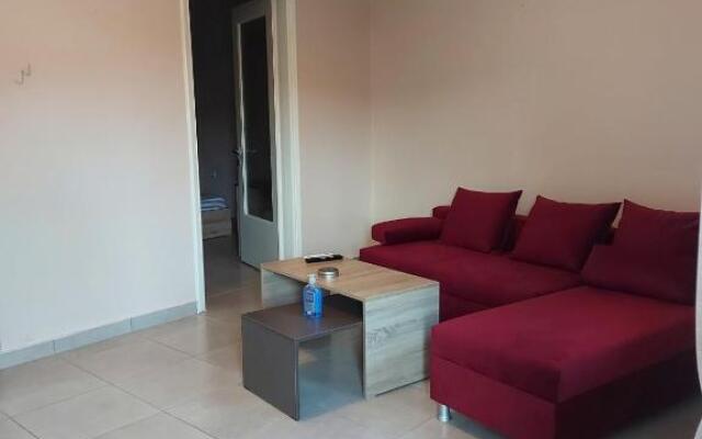 2020 renovated, sunny apartment with yard/garden