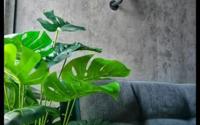 Sibu-Casamea(Shoplot)2 Bedrooms-FREE wifi & Washer