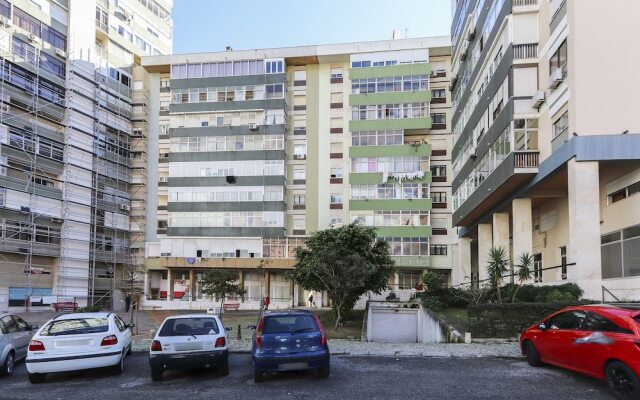 Olaias Classic by Homing