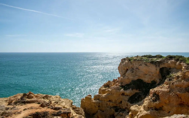 99B Hibiscus Monte Dourado