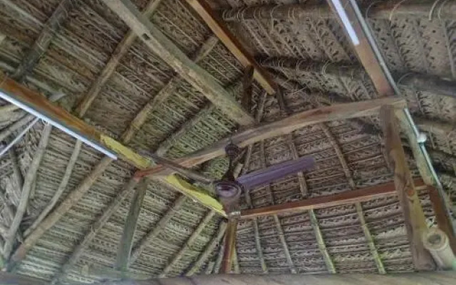 Paddy Homestay