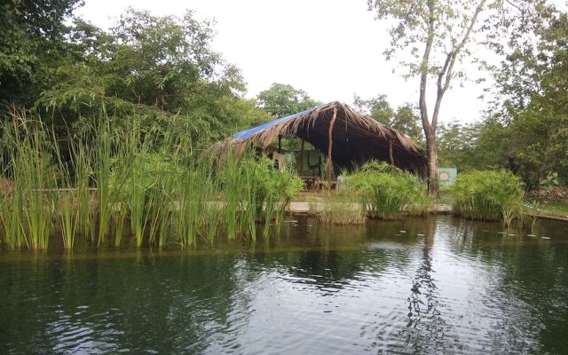 Dudhsagar Plantation