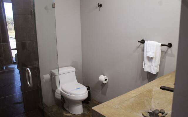 Pulso Valle de Guadalupe