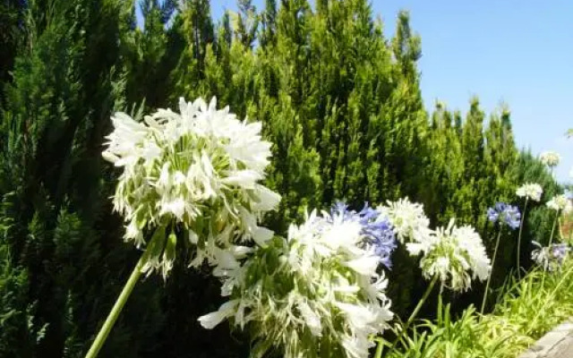 Casa Nossa Senhora Da Conceicao