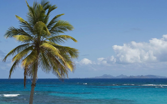 Coral Beach Club Villas & Marina