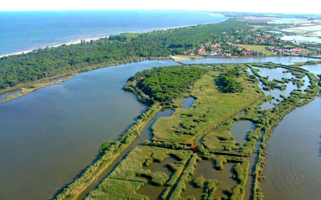 Bright Flat in Rosolina