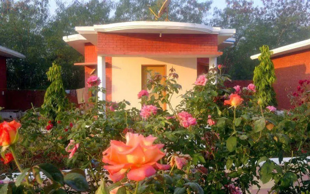 Shri Krishna Jungle Resort