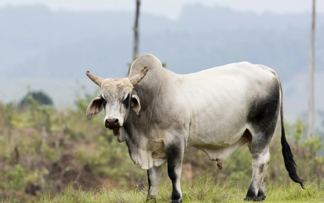 Stonehaven Lodge and Conference Center