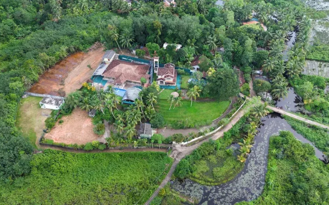 Treetop Resort