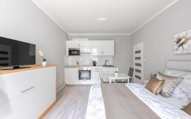 City apartment Slezská