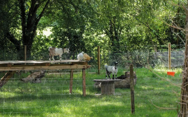 The Foxes Den Shepherds Hut