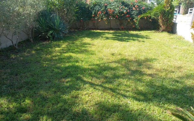 Palm Garden Apartment