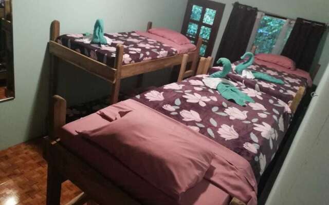 Blue Morpho - Hostel
