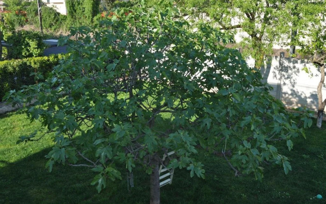 BB Residence Casa Wilma