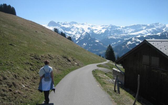 Lenk,Berner Oberland,Ferienwohnung 4 Bett, Kinderfreundlich,TraumpanoramaLenk
