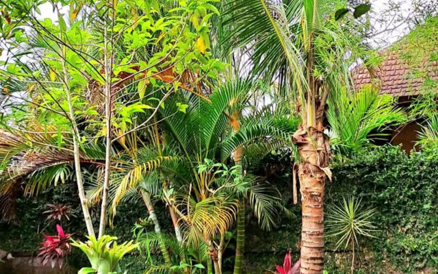 Tropica House 2 minutes from Ubud center