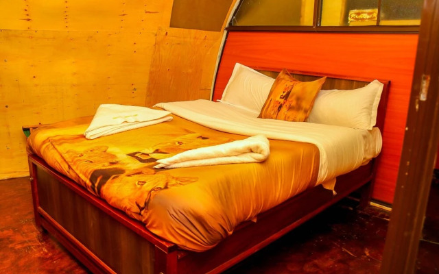 Amanya 2-rooms Lioness Family