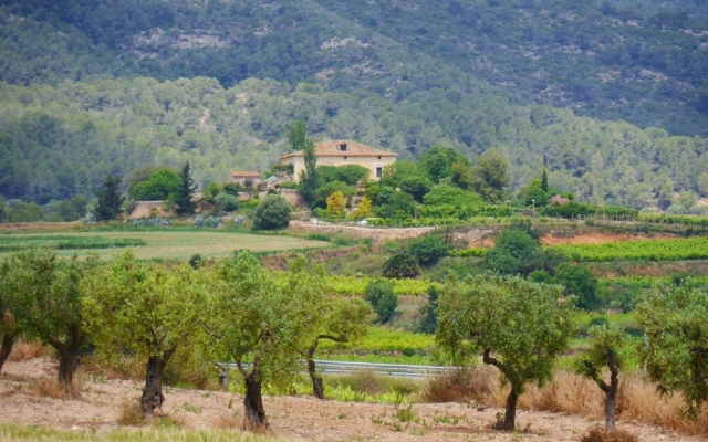 Mas Castell de Gimenelles