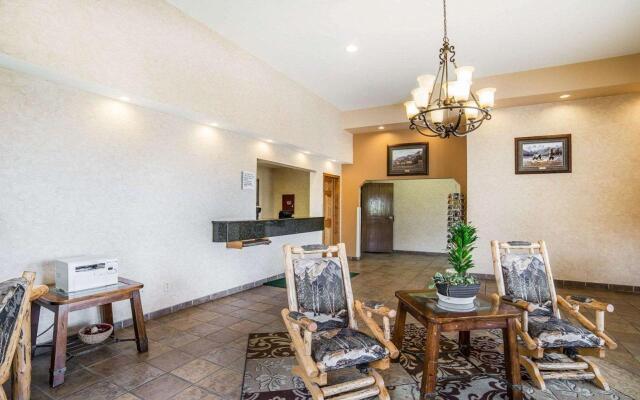 Spark by Hilton Sheridan