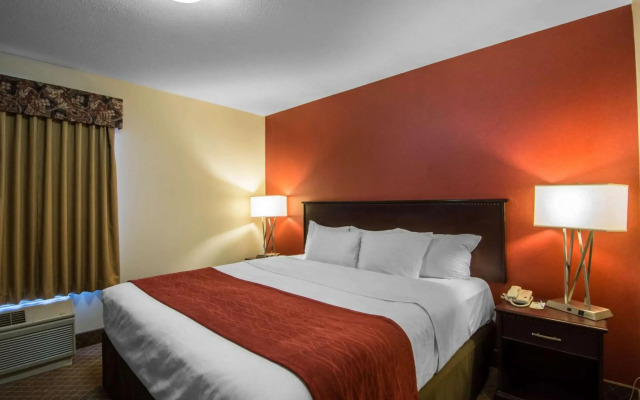 Comfort Inn & Suites Airport South