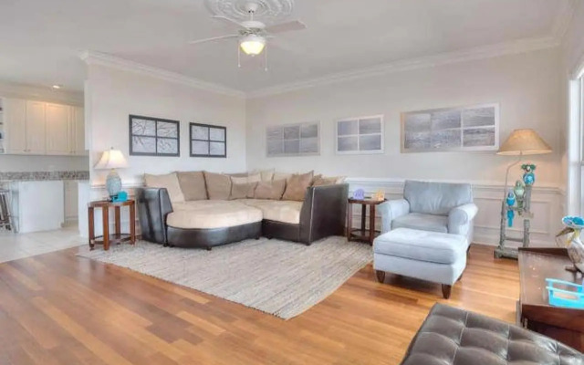 Stranded Indolphinitely