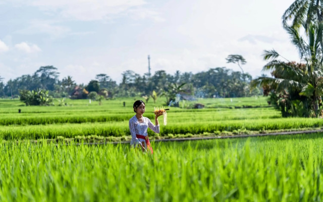 Kubu Bali Baik Villa & Resort