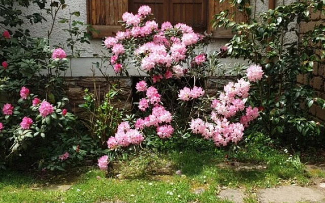 Lovely 3-bed Villa in Capranica