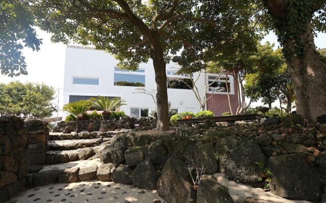 Soofeel House