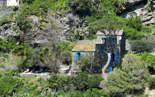 Casa Leone
