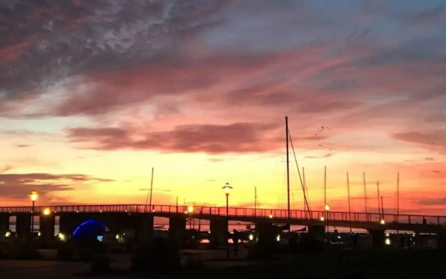 Black-headed Gull Comfortable Holiday Residence