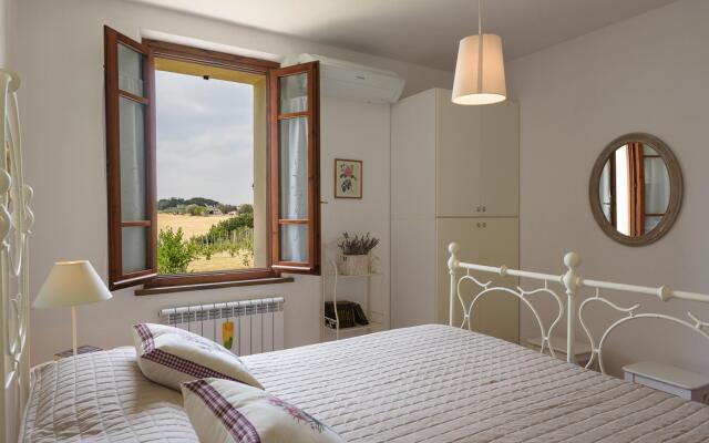 Pg-c309-lfrt0at - Poggio Vistabella 10