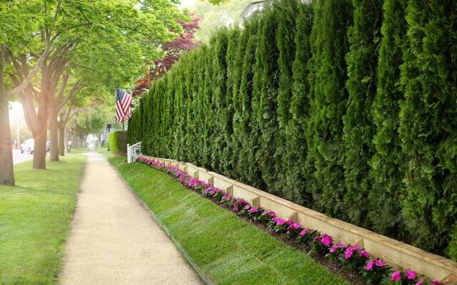 Maison Vivienne Southampton