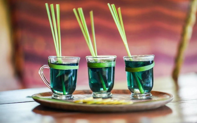 Sten Lodge eco Homestay