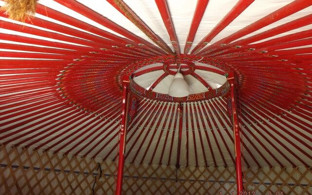 Les Insolites de la Baie