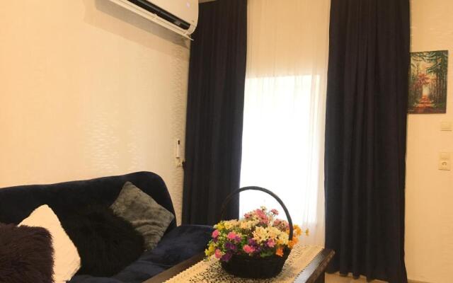Newly renovated house