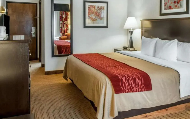 Comfort Inn Farmington